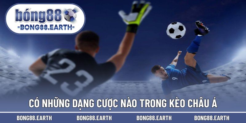 Điểm qua những dạng trong cược châu Á