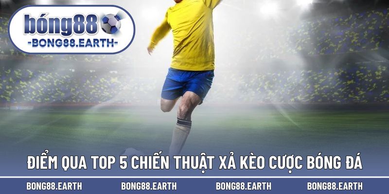 Điểm qua top 5 bí quyết giúp bạn bỏ cược thành công